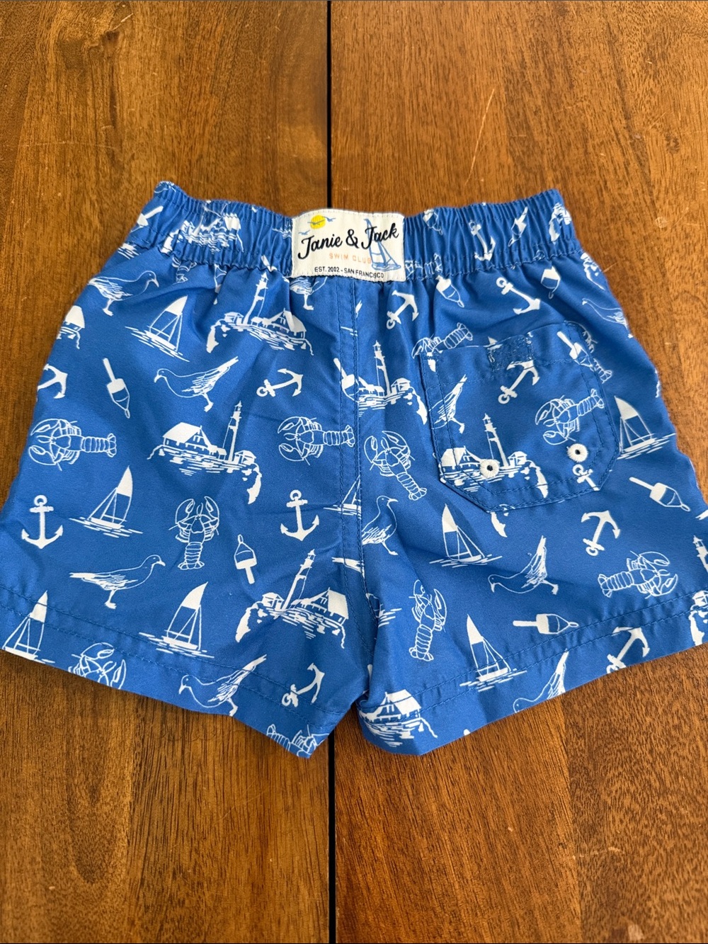 Janie & Jack NWT Nautical Print Blue Swim Shorts 3-6 months